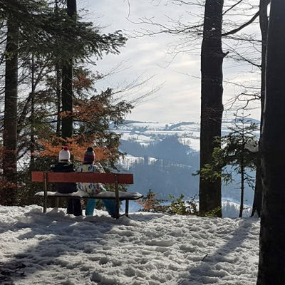 Sitzbank im Winterwald